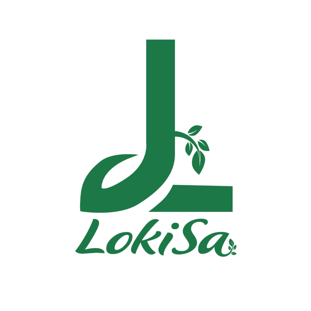 LokiSa Store