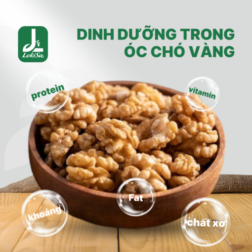 dinh duong trong Oc cho vang tu LokiSa